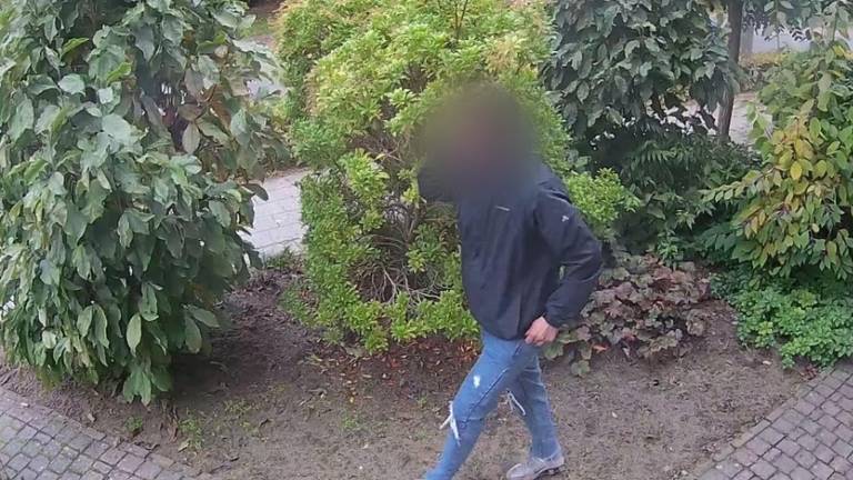 De dief op camerabeelden (foto: Heeze-Leende24).