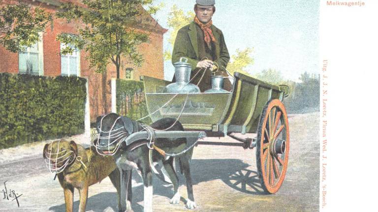 De hondenkar (foto:  Herman de Ruiter/BHIC).