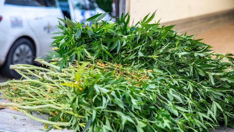 Foto: Christian Traets/Persbureau Heitink