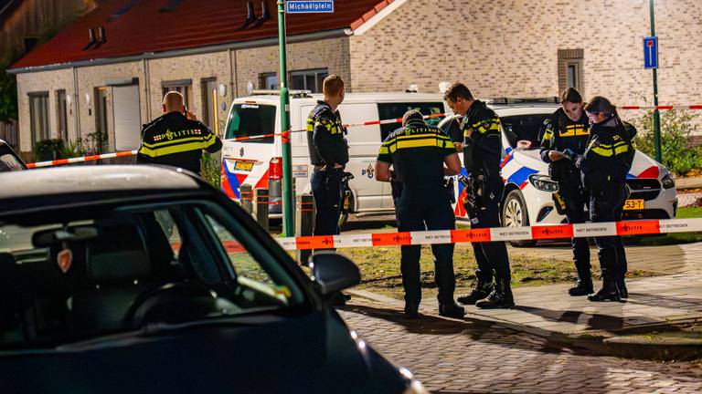 Foto Harrie Grijseels/Persbureau Heitink.