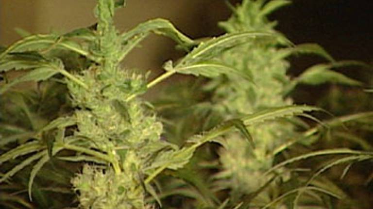 Burgemeester Van de Mortel van Vught sluit drugspand in Prins Bernhardlaan