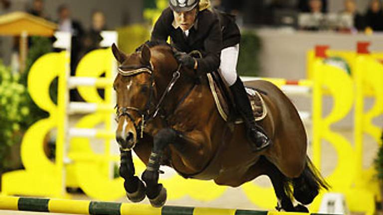 Theo Ploegmakers voorzitter KNHS - Omroep Brabant