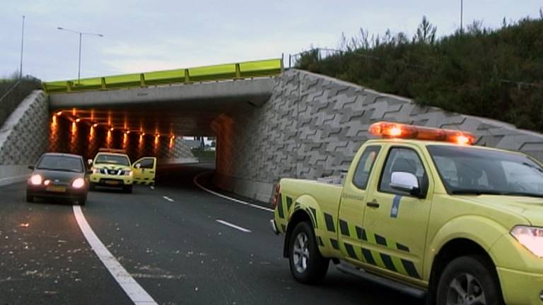 Knooppunt HIntham moest worden afgesloten toen een vrachtwagen zijn lading kippen verloor