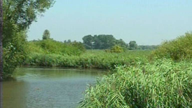 Biesbosch1-350
