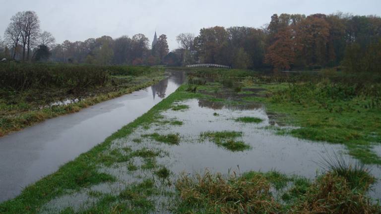 Regen in markdal