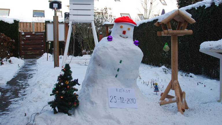 In 2010 hadden we voor het laatst een witte kerst. (Foto: Nico Koevoets, Breda)