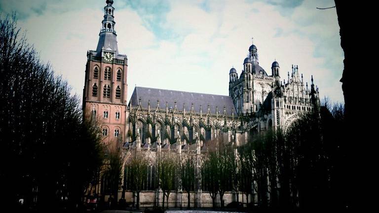 Den Bosch scoorde een vijfde plek als het gaat om culturele levendigheid.