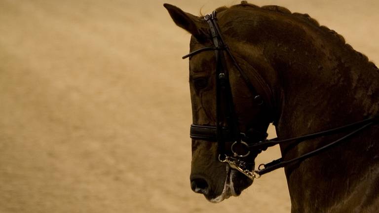 Omroep Brabant