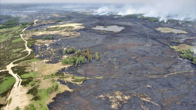 De brand legde 600 hectare in de as.