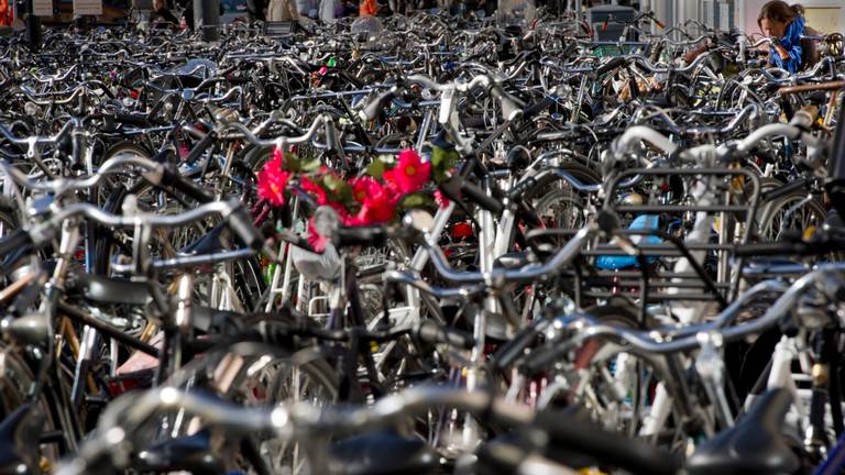 De vrouw werd bij de Eindhovense fietstenstalling misbruikt. (archieffoto: ANP)