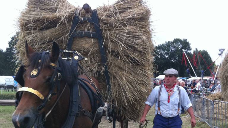 Omroep Brabant