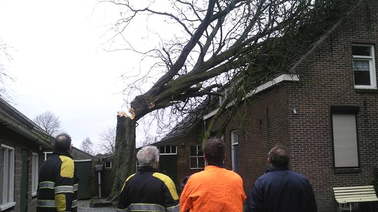 Omroep Brabant