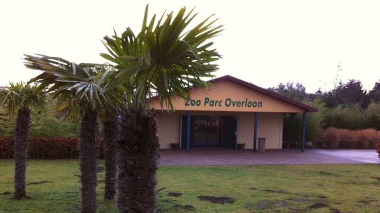 Zoo Parc Overloon