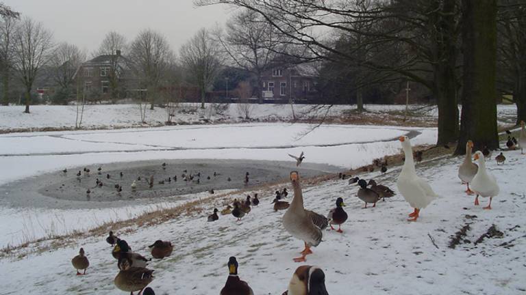 Of we dit soort taferelen nog gaan zien deze winter?