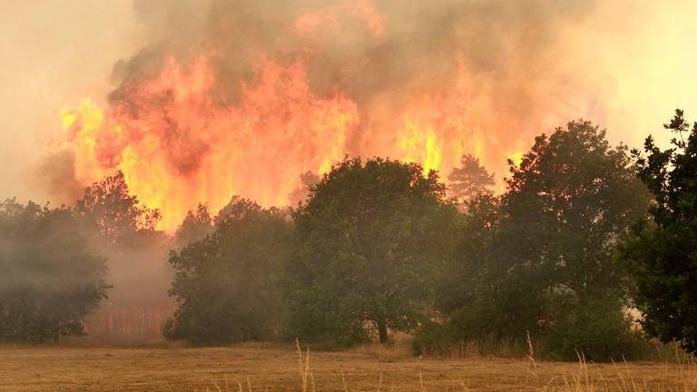 Natuurherstel na een brand kan jaren duren