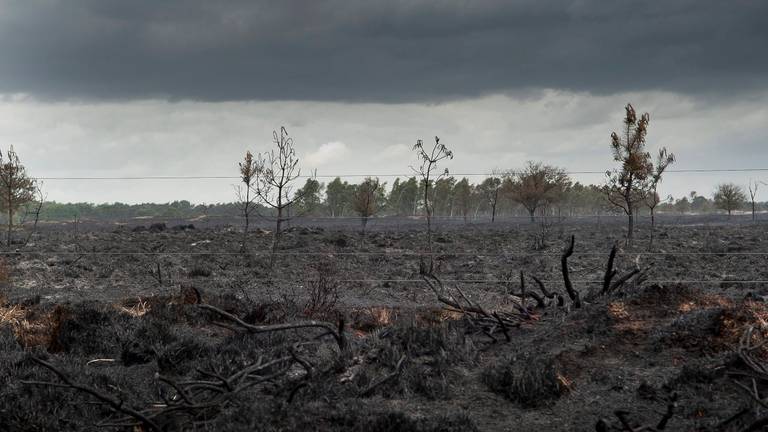 Omroep Brabant