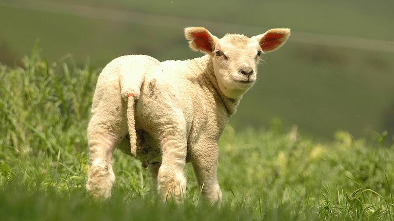 Omroep Brabant
