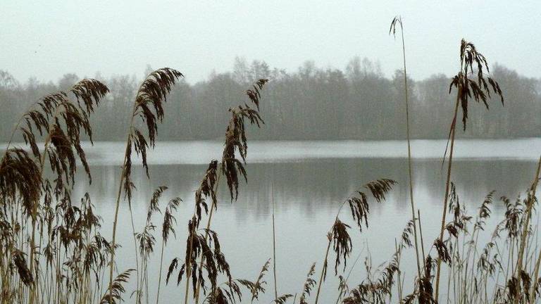 Omroep Brabant