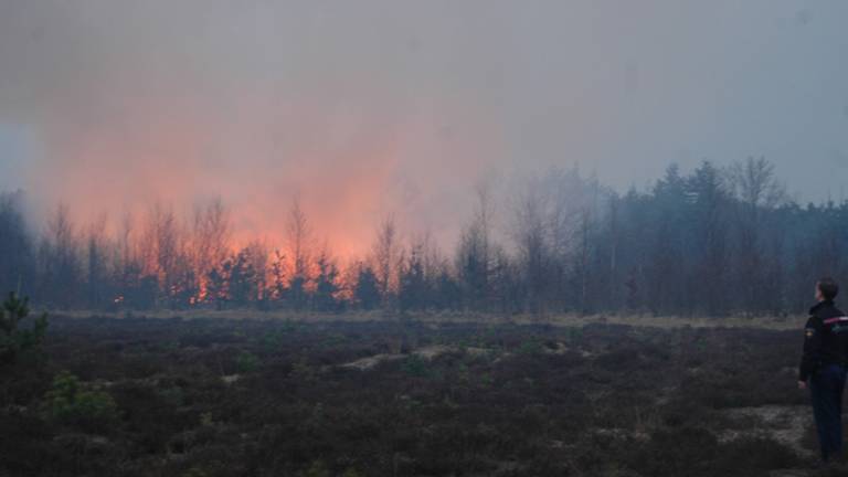 Omroep Brabant