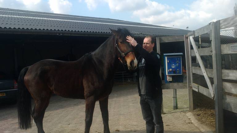 Omroep Brabant