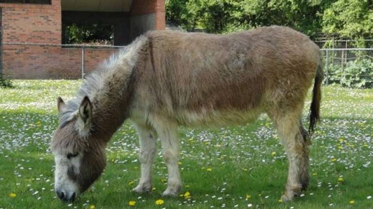 Omroep Brabant