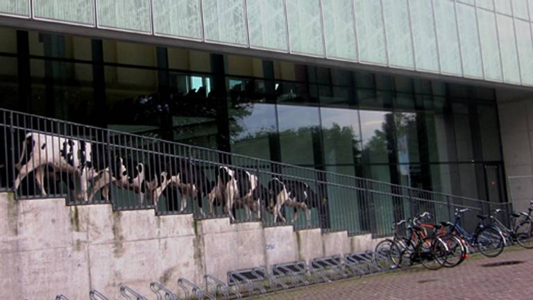 Omroep Brabant