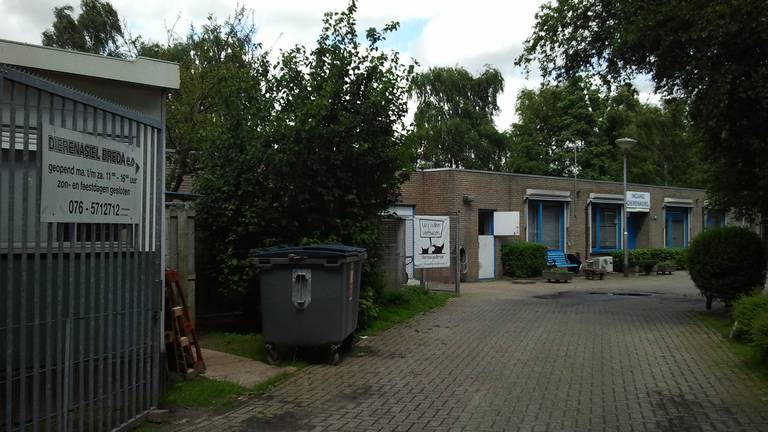 Honden Over Hek Van Dierenasiel In Breda Gegooid Omroep Brabant