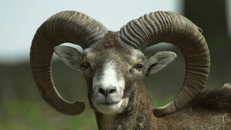 Omroep Brabant