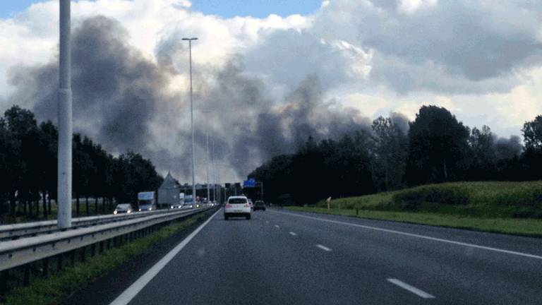 Omroep Brabant