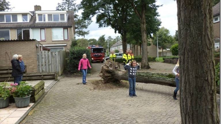 Omroep Brabant