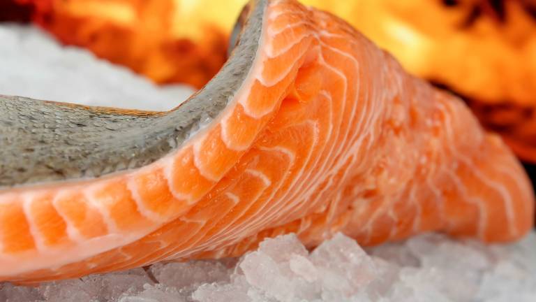 In de zalm bij visbedrijf Foppen werd salmonella gevonden (foto: sxc.hu)