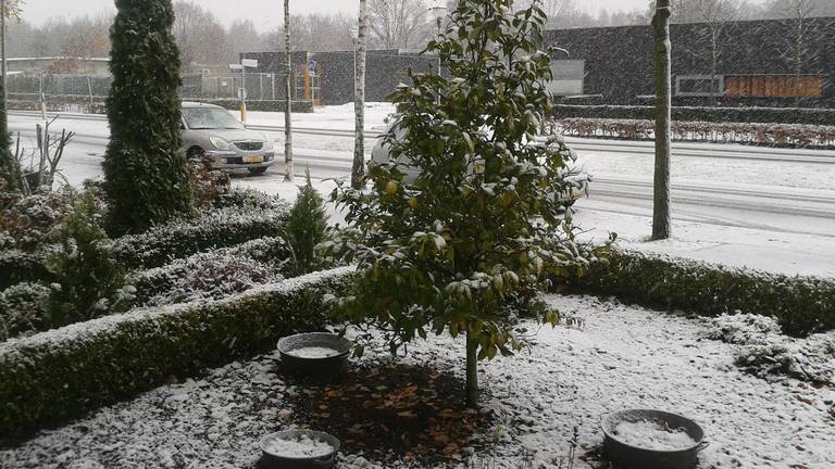 Omroep Brabant