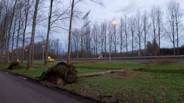Omroep Brabant