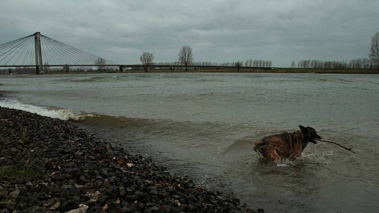 Omroep Brabant