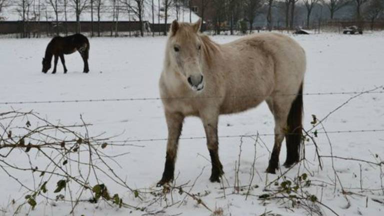 Omroep Brabant