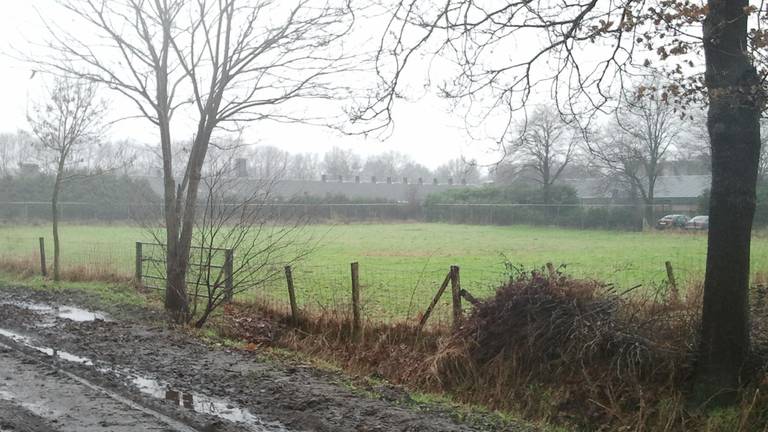 Omroep Brabant