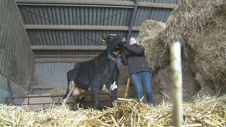 Omroep Brabant