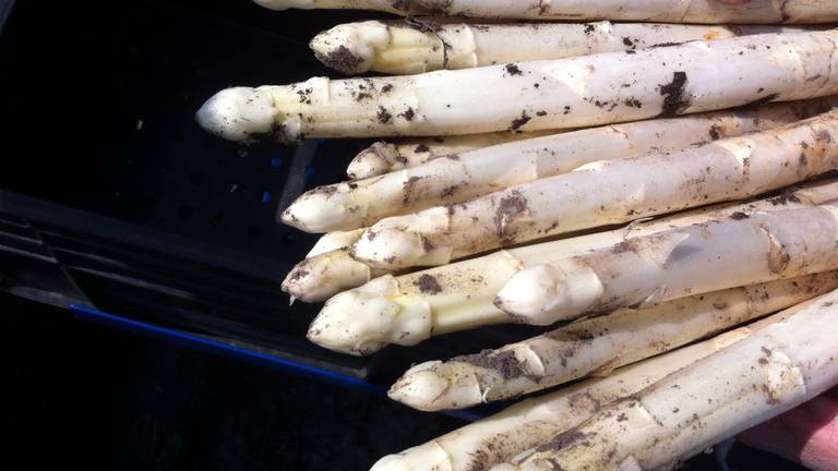 Ook keurmerk aardbei en asperge