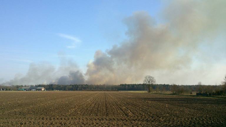 Omroep Brabant