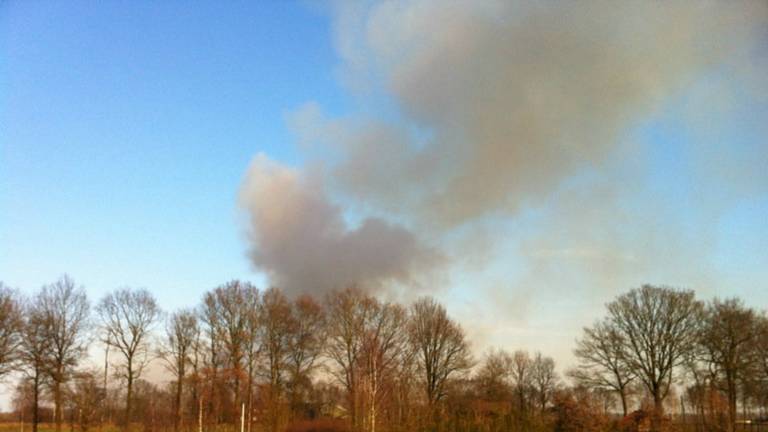 Omroep Brabant