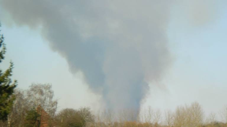 Omroep Brabant