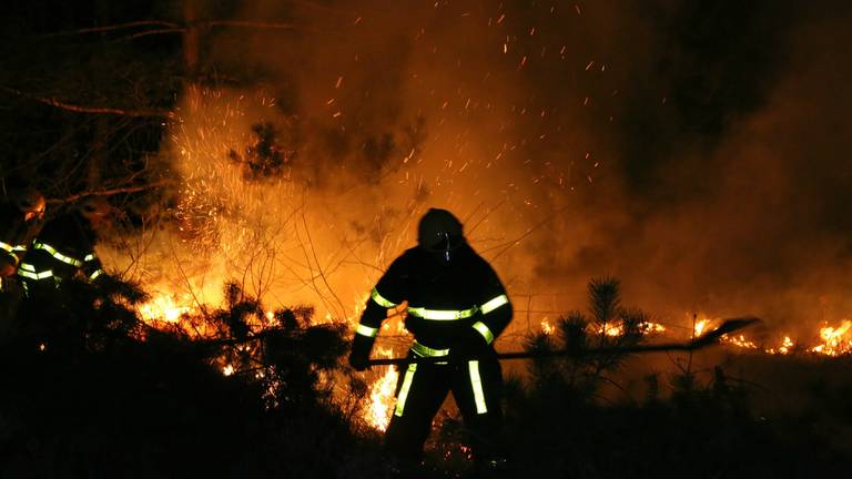 Natuurbrand Loon Op Zand Onder Controle Omroep Brabant