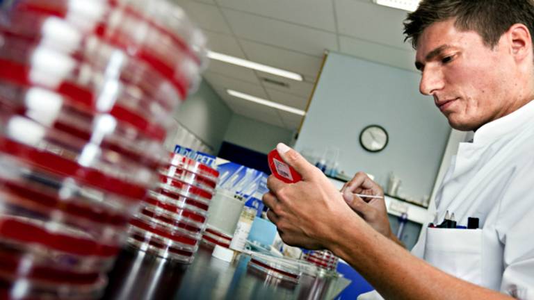 Onderzoek naar de MRSA-bacterie (foto: ANP)