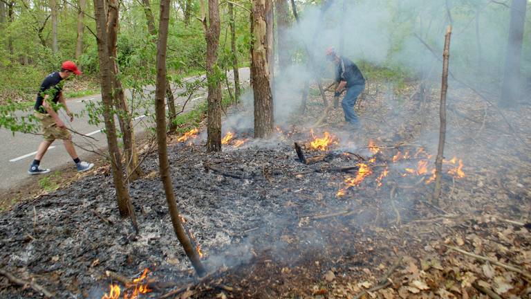 Voorbijgangers Doven Beginnend Bosbrandje In Loon Op Zand Omroep Brabant