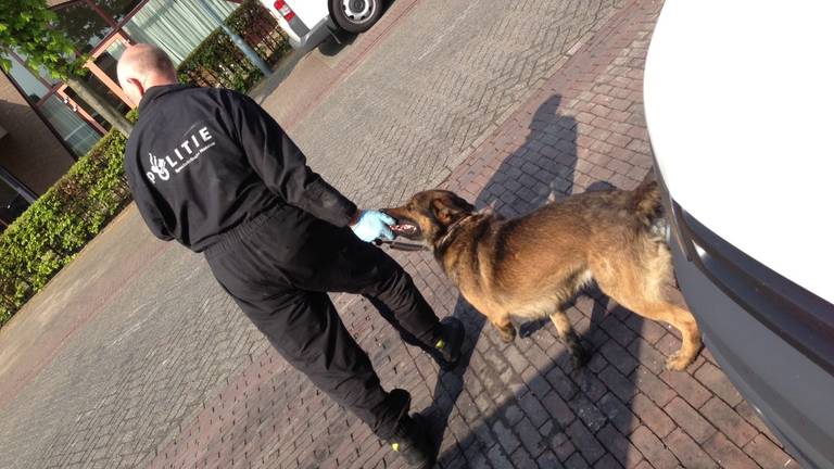 Omroep Brabant