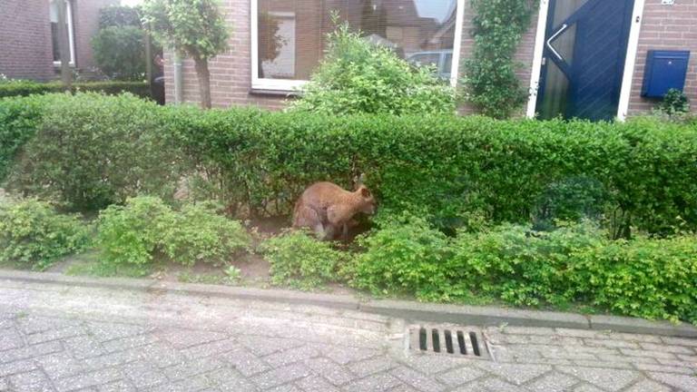 Omroep Brabant