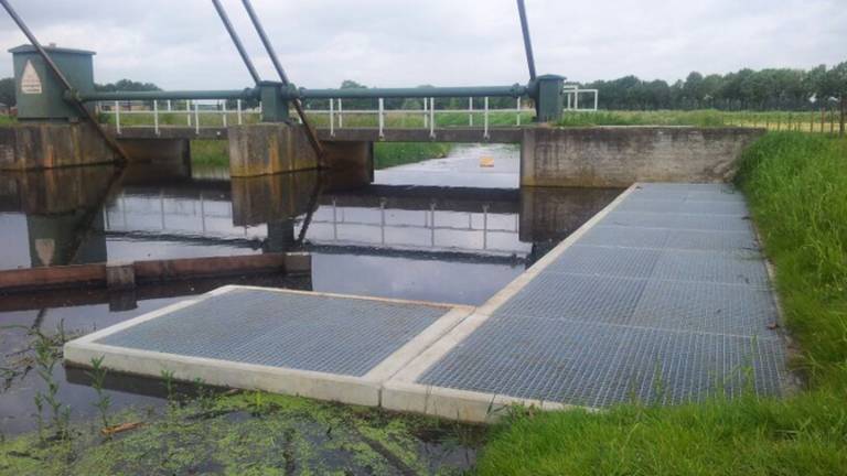 Omroep Brabant