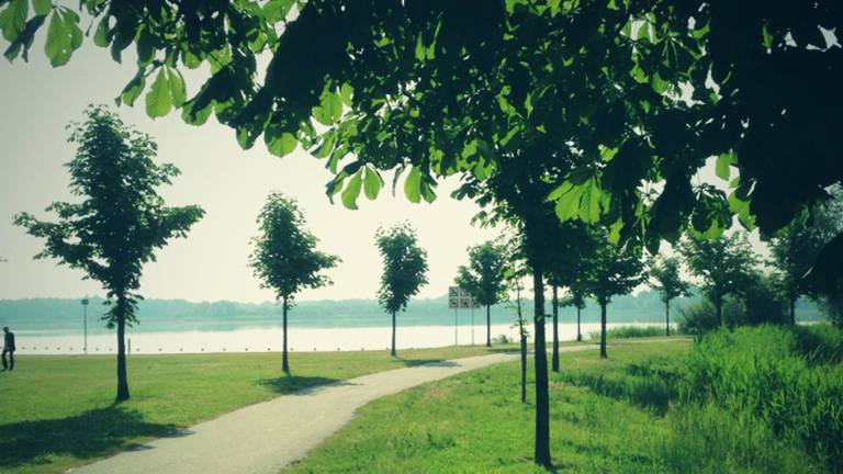 Omroep Brabant
