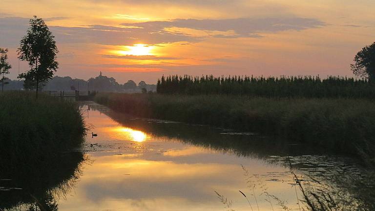 Omroep Brabant