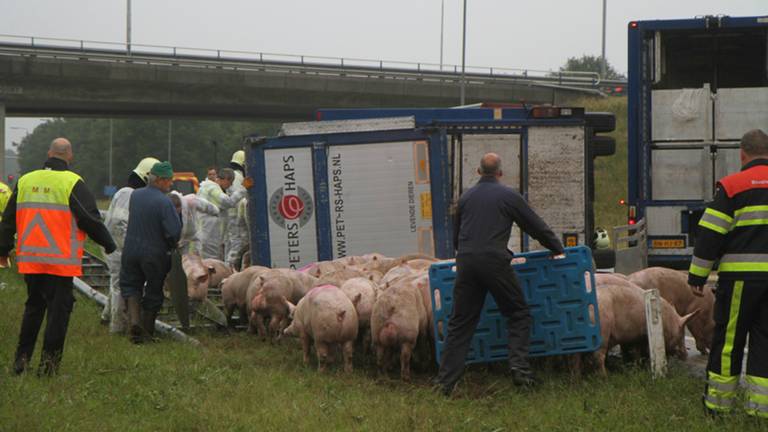 Omroep Brabant